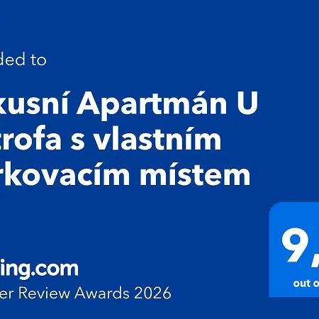 Luxusni U Petrofa S Vlastnim Parkovacim Mistem Hradec Králové